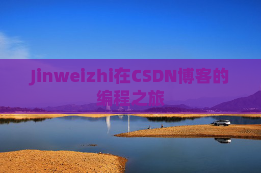 Jinweizhi在CSDN博客的编程之旅